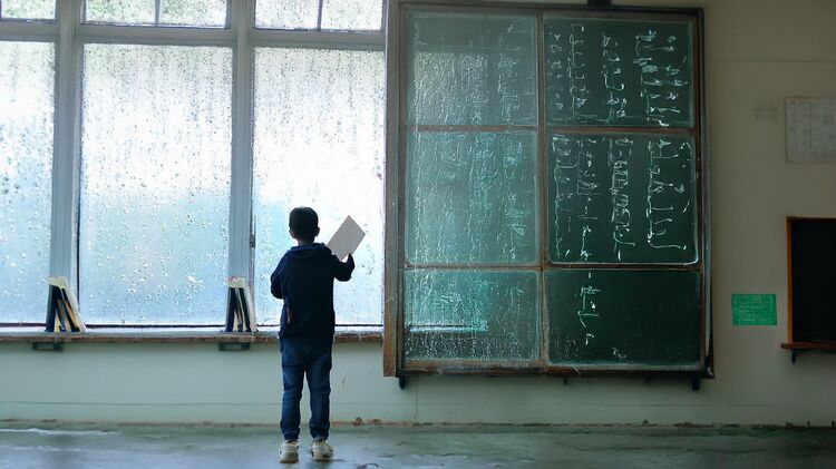 2026年青苗学校成都校区报名条件详解