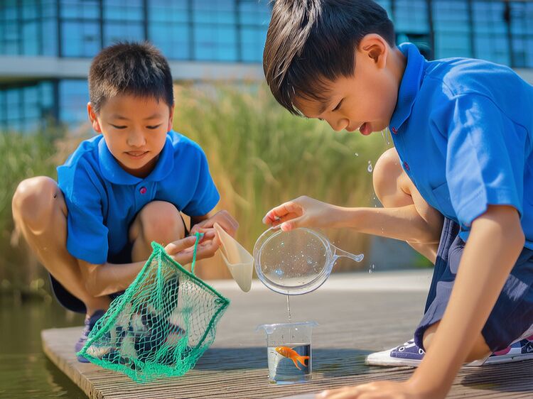 北京国际学校名校