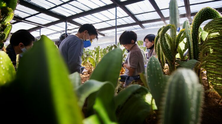 2025年昌平区外籍子女读汇佳小学材料清单（含最新政策避坑指南）