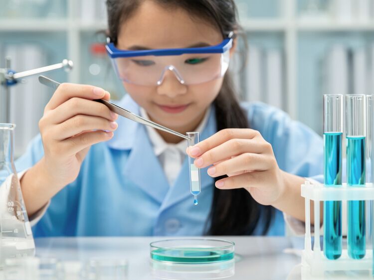 北京王府国际学校多少钱